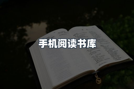 海外电子书